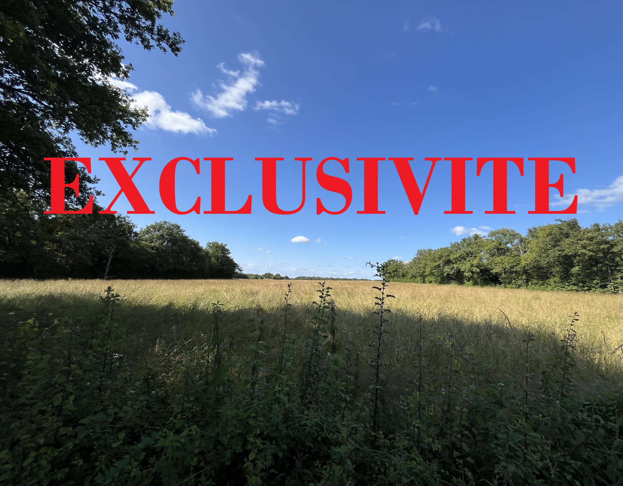 Terrain agricole sur la commune de Mouhet