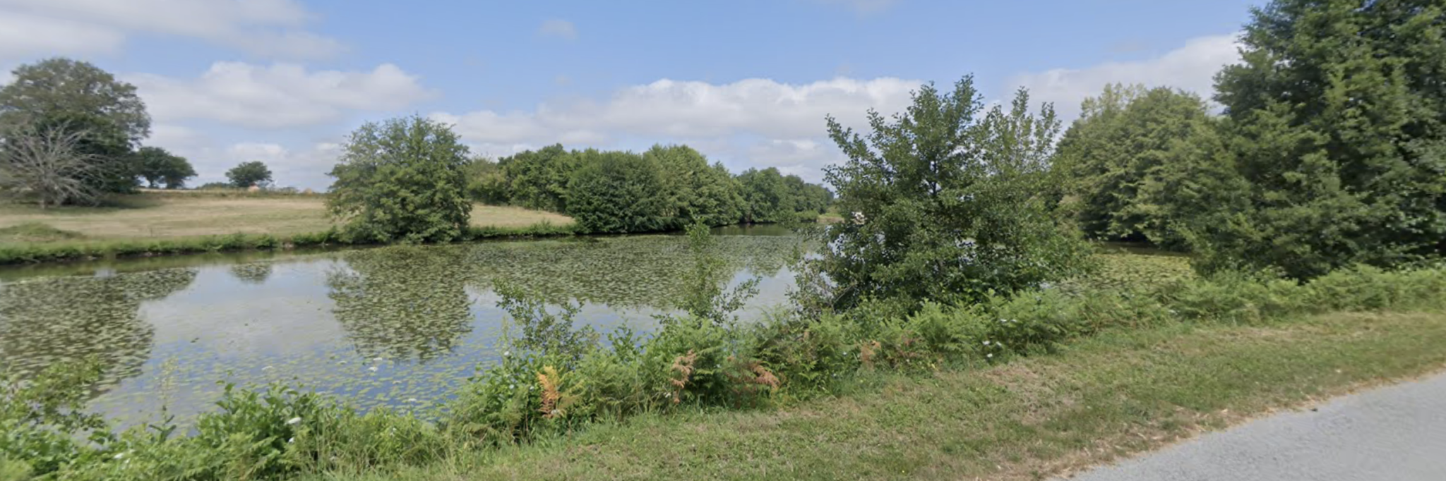 Magnifique étang de plus d'un hectare